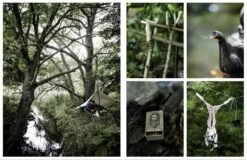 ILD + 12oz Roaster Loop Bottle -Camping Salgsbutik 71700031 5