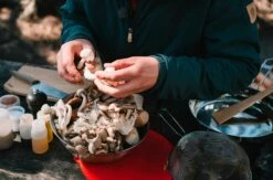 Primus CampFire Bowl Stainless Steel Incl. Lid -Camping Salgsbutik 72200046 3