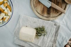 Primus CampFire Knife Large -Camping Salgsbutik 72200064 4