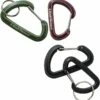 Black Diamond Micron Large Accessory Carabiner