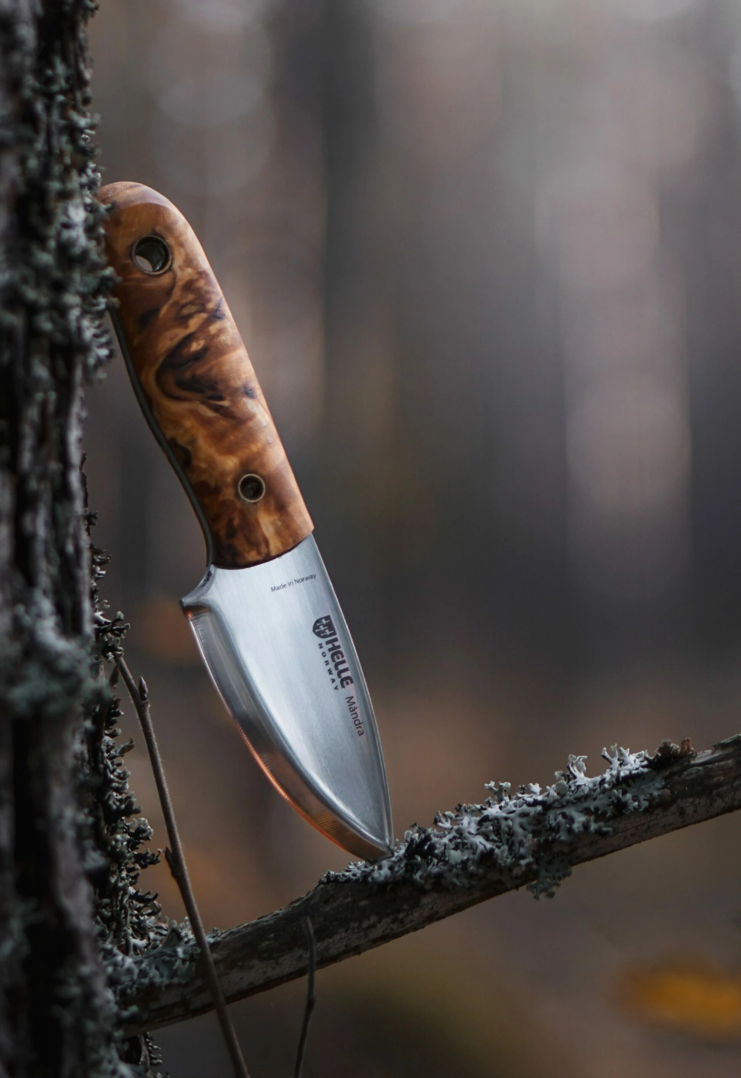 Helle Mândra Full Tang Knife 4 Helle Mândra Full Tang Knife - Billede 4