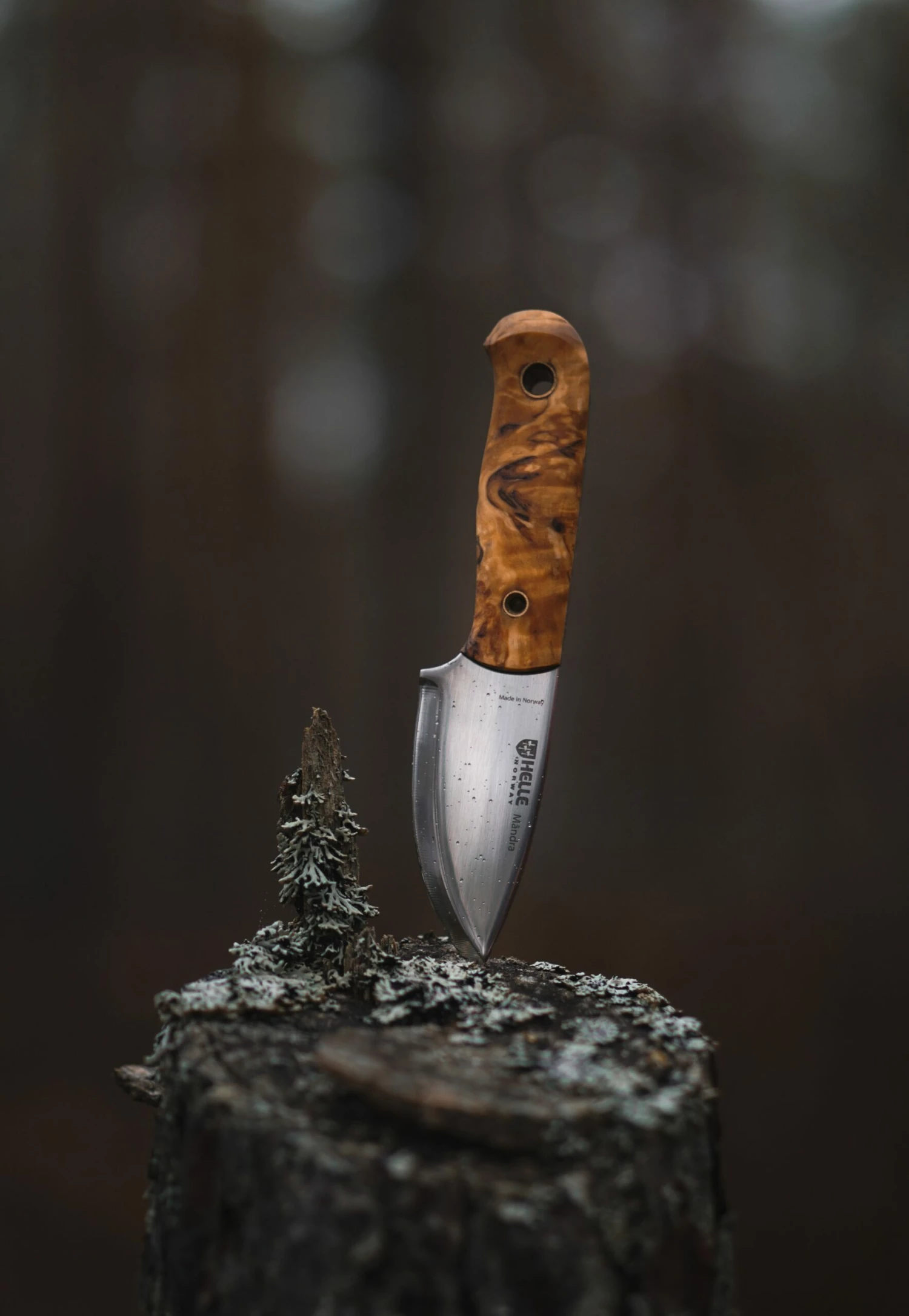 Helle Mândra Full Tang Knife 5 Helle Mândra Full Tang Knife - Billede 5