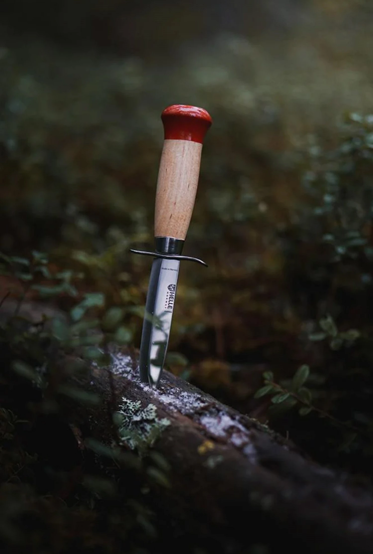 Helle Speider Gutt Starter Knife 3 Helle Speider Gutt Starter Knife - Billede 3