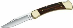 Buck Knives 110 Folding Hunter® Knife