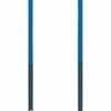 Black Diamond Distance Carbon FLZ Trekking Poles