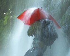 Euroschirm Birdiepal® Outdoor Umbrella -Camping Salgsbutik 95300003 6